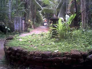 Padinjarepattu Mana a Distant view